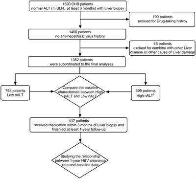 High normal alanine aminotransferase is an indicator for better response to antiviral therapy in chronic hepatitis B